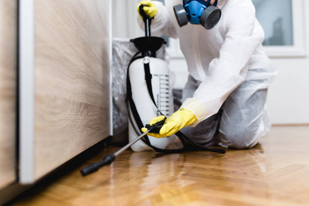 Best Bed Bug Extermination  in Somerdale, NJ