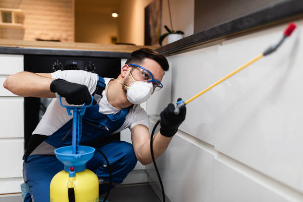 Best Pest Prevention Services  in Somerdale, NJ