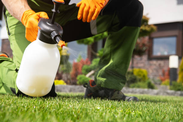 Best Pest Prevention Services  in Somerdale, NJ