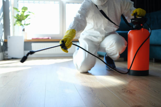Best Mosquito Control Services  in Somerdale, NJ