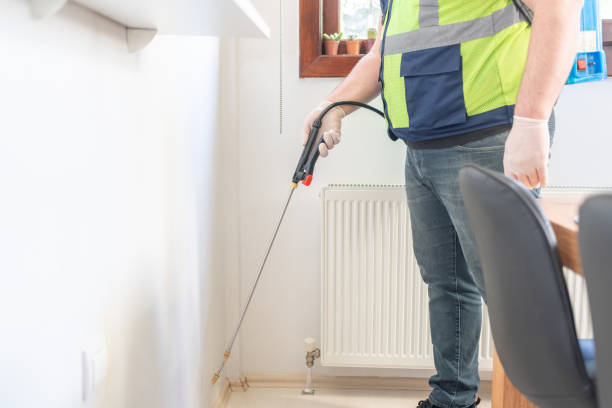 Best Pest Inspection Near Me  in Somerdale, NJ